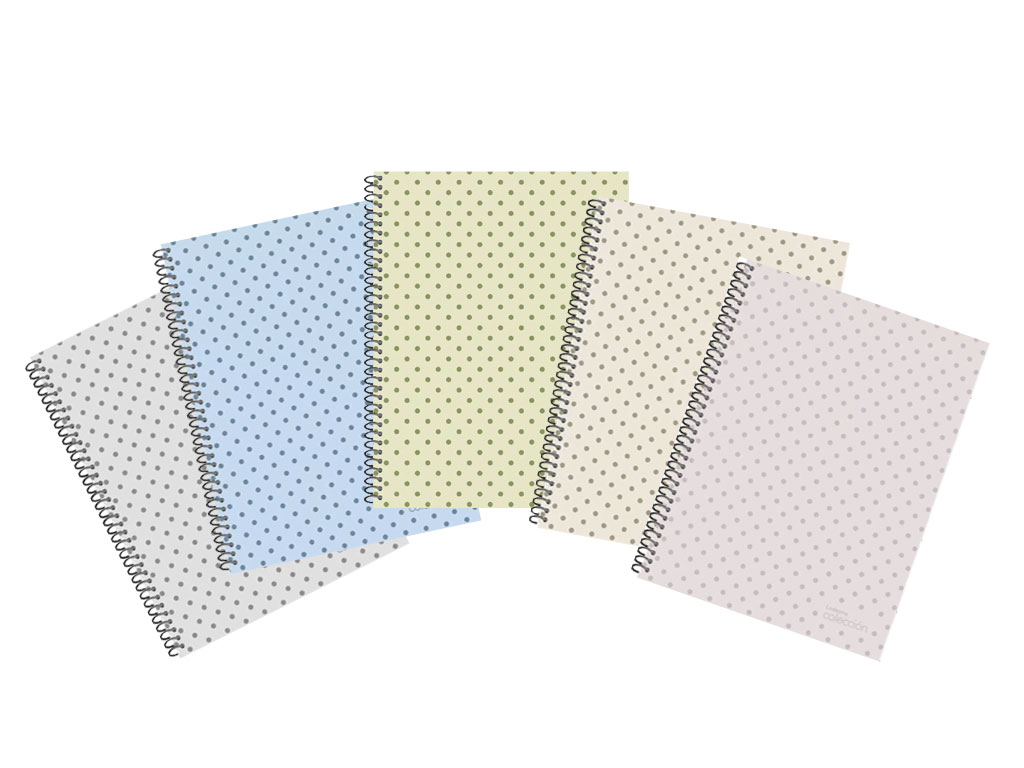 CUADERNO ESPIRAL 21X27 COLECC T /SR METAL 84H RAYA