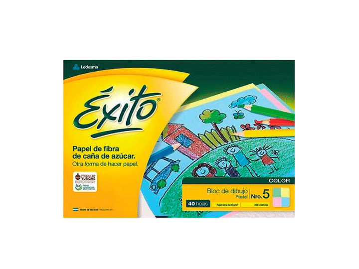 BLOC DIBUJO N°5 ÉXITO PTEL MUL 40H X 60U