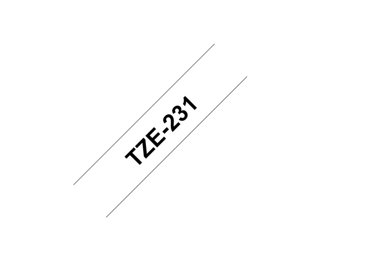 TZe231