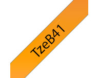 TzeB41
